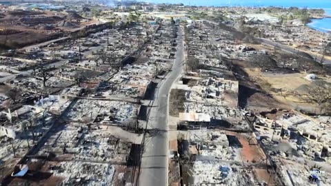 Maui in 15 (2023) 🔥