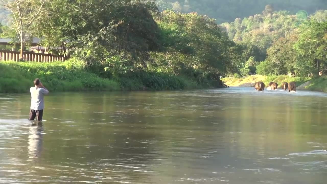 Elephants Ran To Reunion With The Favorite People Who Away For 14 Months