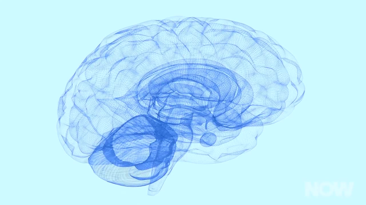 Transcranial Magnetic Stimulation [Mind Control]