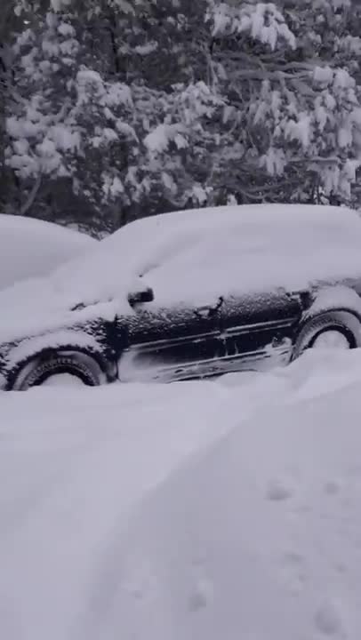 Volvo XC90 is a tank!