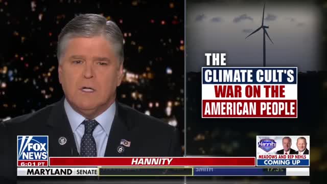 Sean Hannity: They want you to feel pain