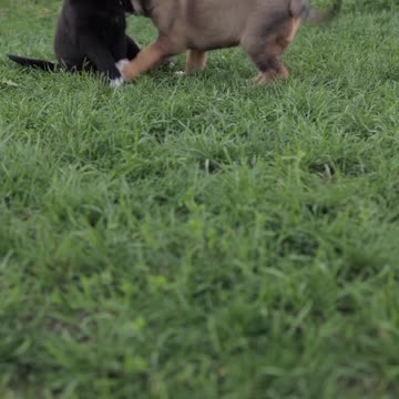 #rumble #rumblevideo #rumbleviral