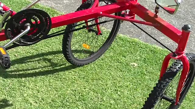 Tadpole recumbent trike