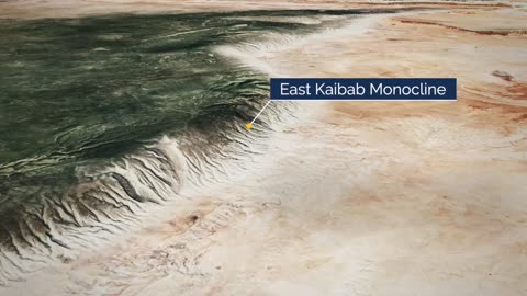 The Biblical Flood - The Grand Canyon