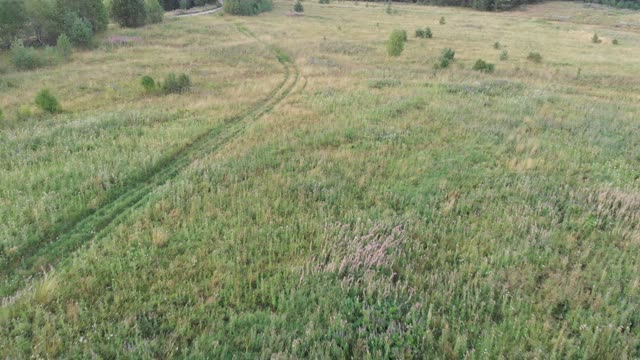 A drone flies over a summer field.