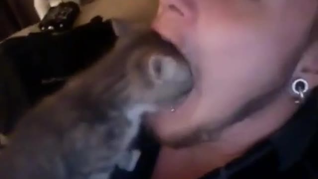 the cat got into his mouth