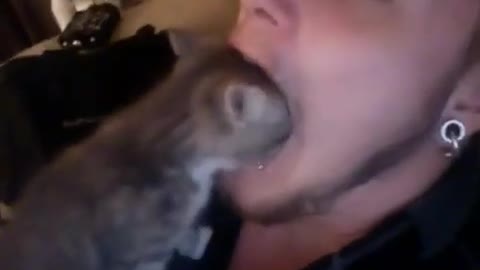 the cat got into his mouth