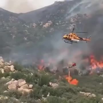 The reason behind forest fire