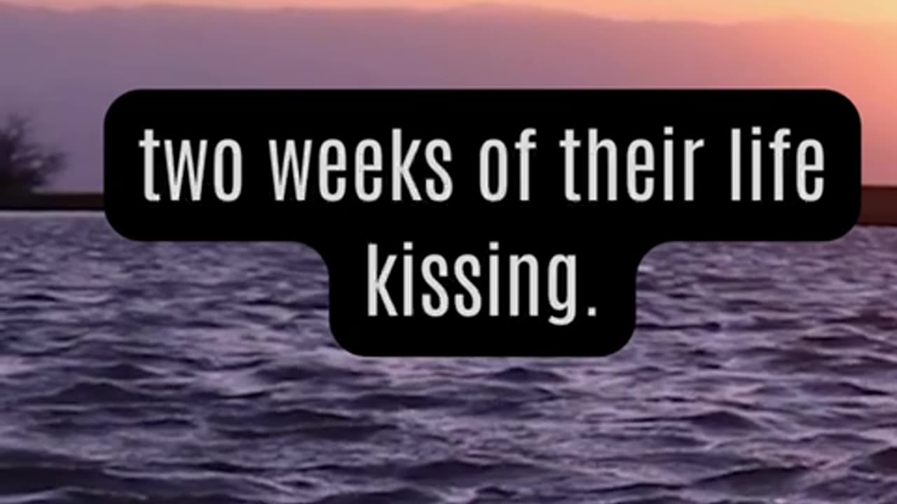 Amazing Kissing Fact