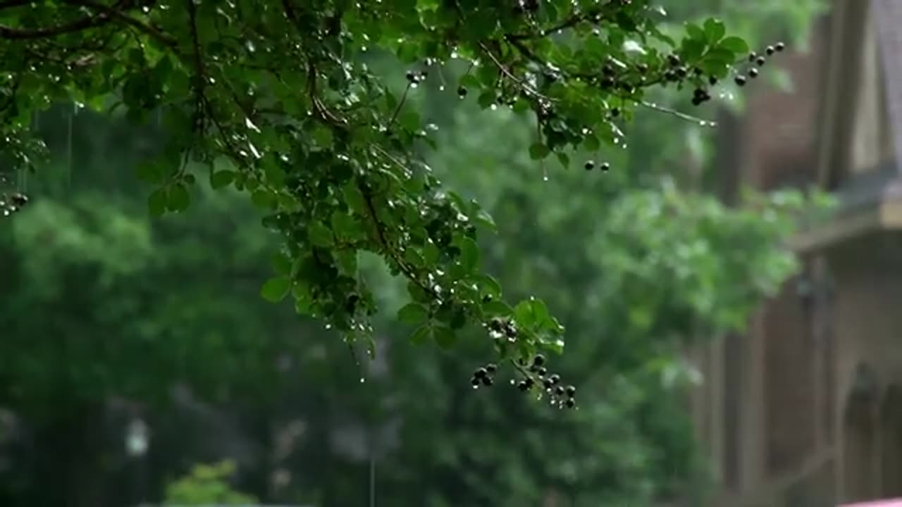 The Soothing Summer Rain Storm Sound for sleep or relax