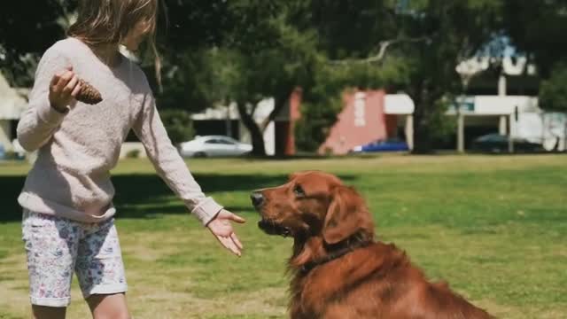 Cute girl playing with intelligent dogi