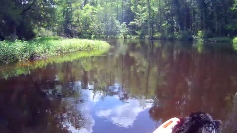 Lower Lumber River, Patrick on his 1st Kayak trip