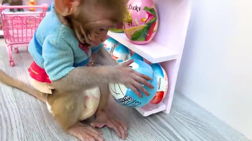 Monkey baby bon bon doing shopping in fidget toys and lollipop stores