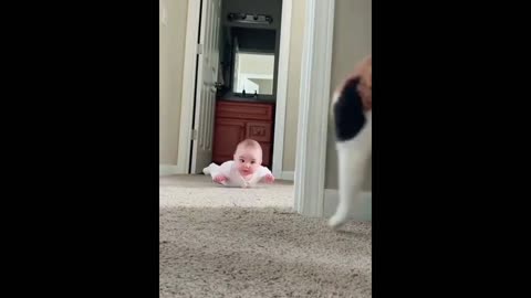 very funny baby videos and make you laugh