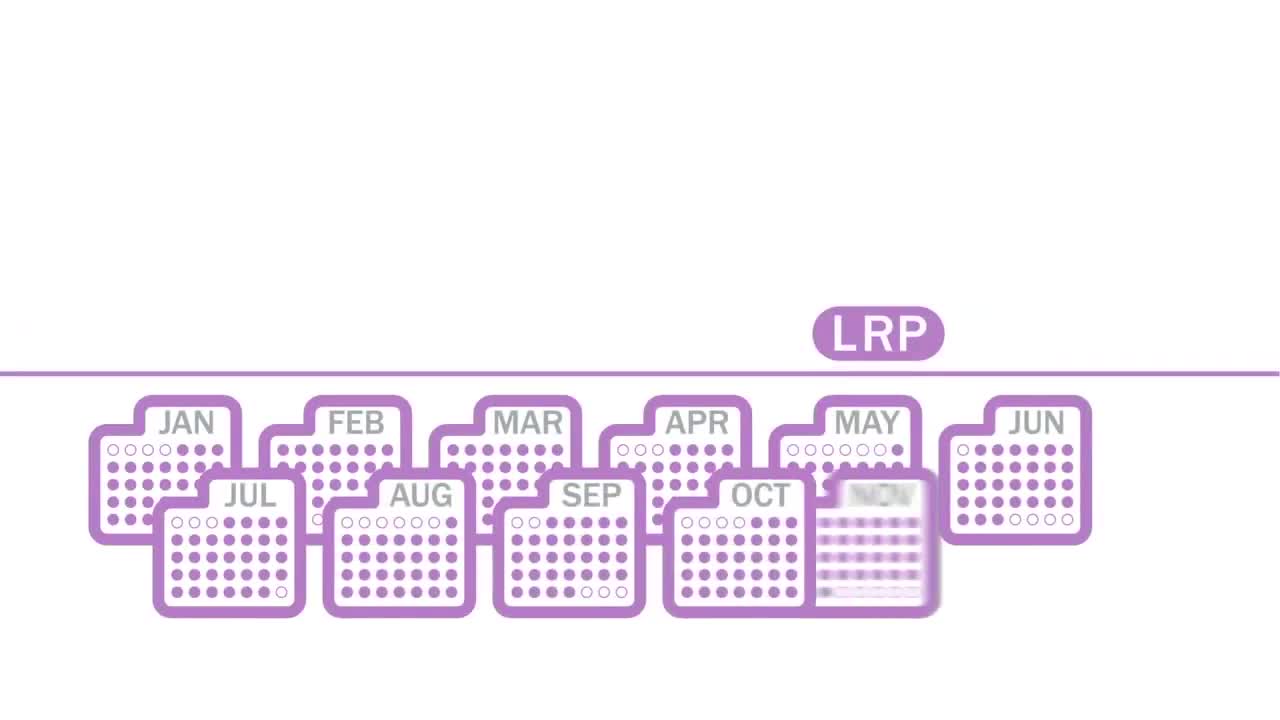 Loyalty Rewards Program (LRP) Explained