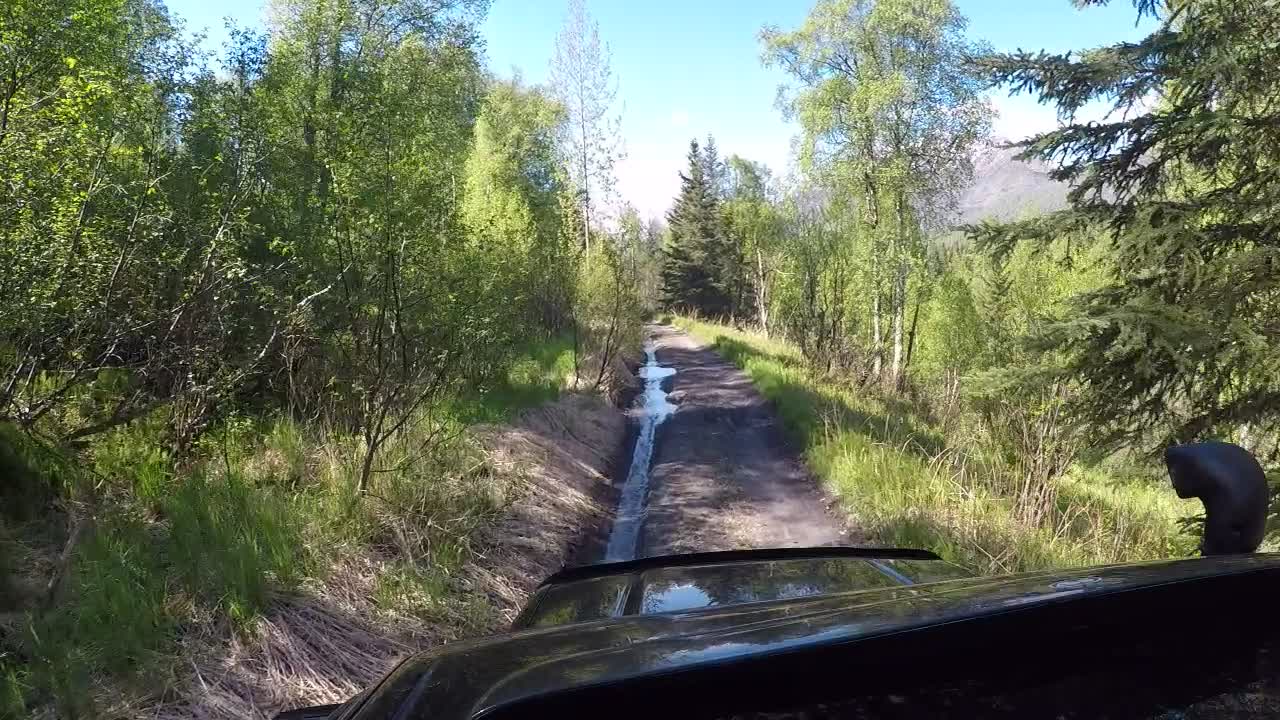 Summer Time, Old Seward Highway VIII