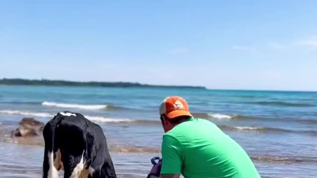 Casual stroll on the beach