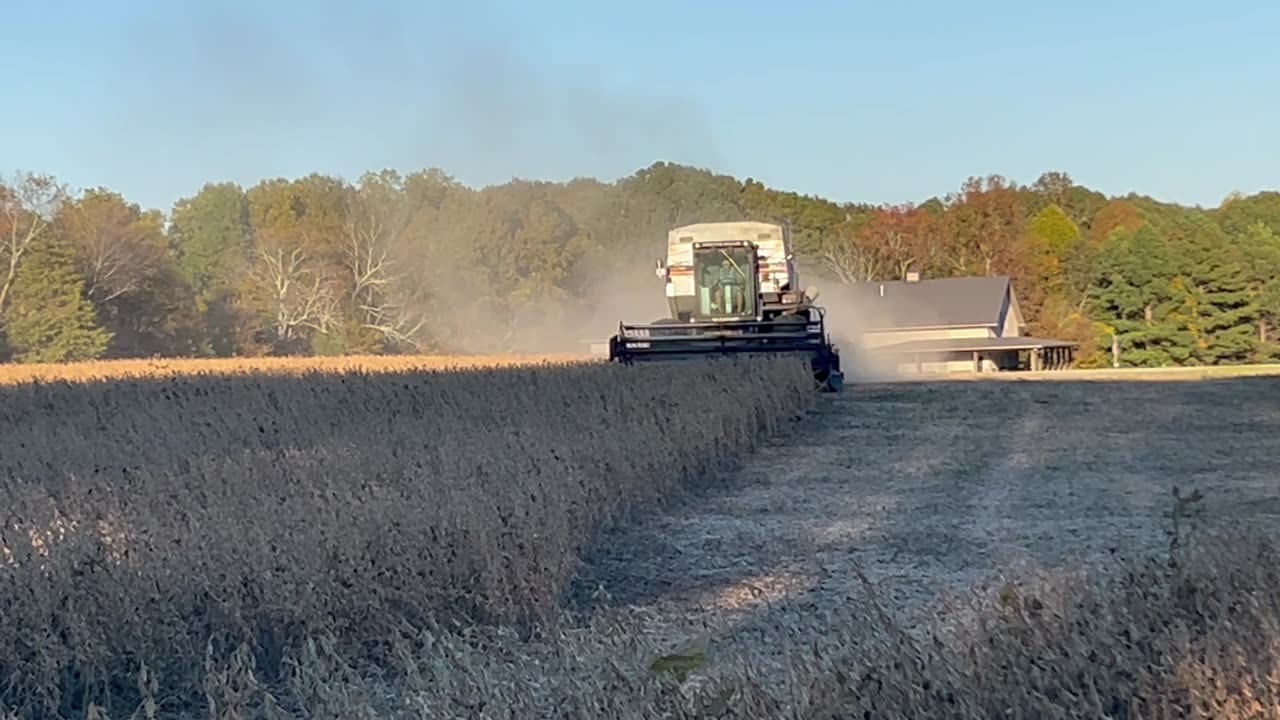 Gleaner R50 soybean harvest 2024