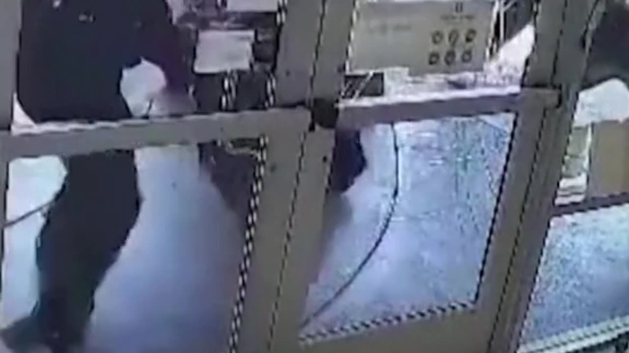 Large group of gang rob a jewelry store