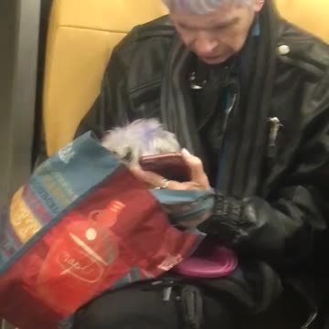 Woman and dog hair purple dye