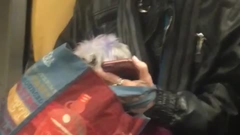 Woman and dog hair purple dye 
