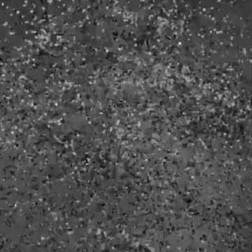 Accept and wait on God’s timing📱🌐 🕊#motivation #motivationalvideo #motivationalquotes