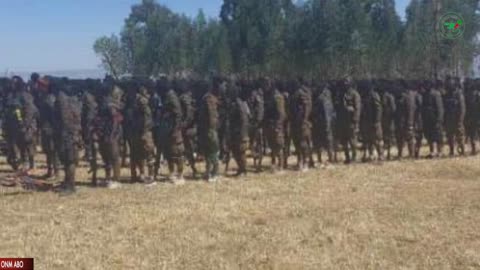 Oduu Tarkaanfii ONM-ABO Onkololessa 16-2024 itti dhiyaadhaa