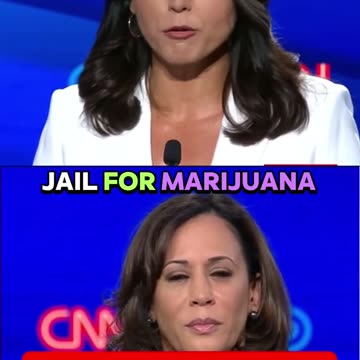 Tulsi Gabbard