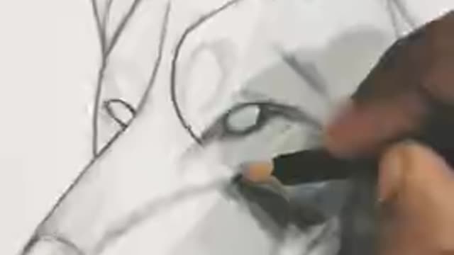 Wolf Drawing