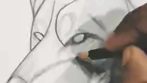 Wolf Drawing