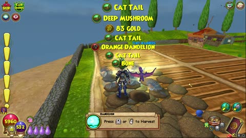 Wizard101: Harvesting 84 Elder Dandelions with Double Gardening (Also Wasting Gardening Elixir)