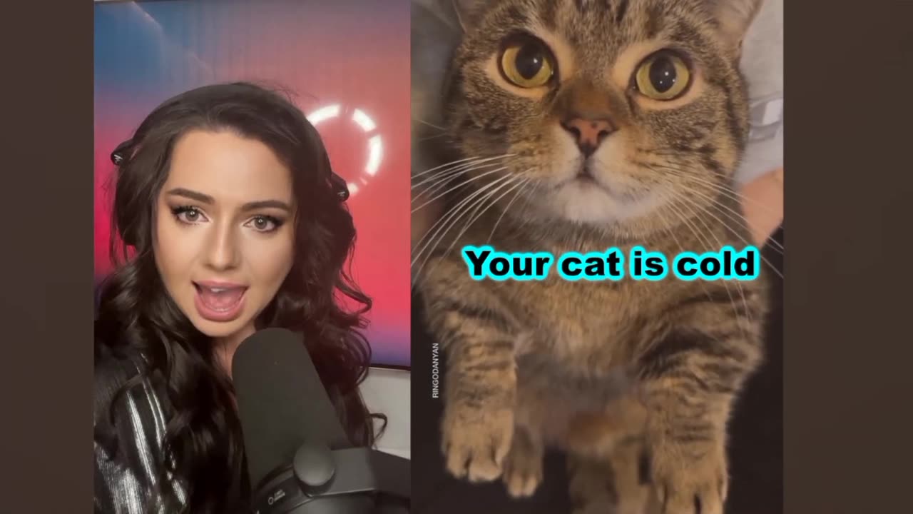 I’m_Cold_Cat_Song_-_Singing_Cat_Catchy_Tune.rumble viral video. Animal viral video