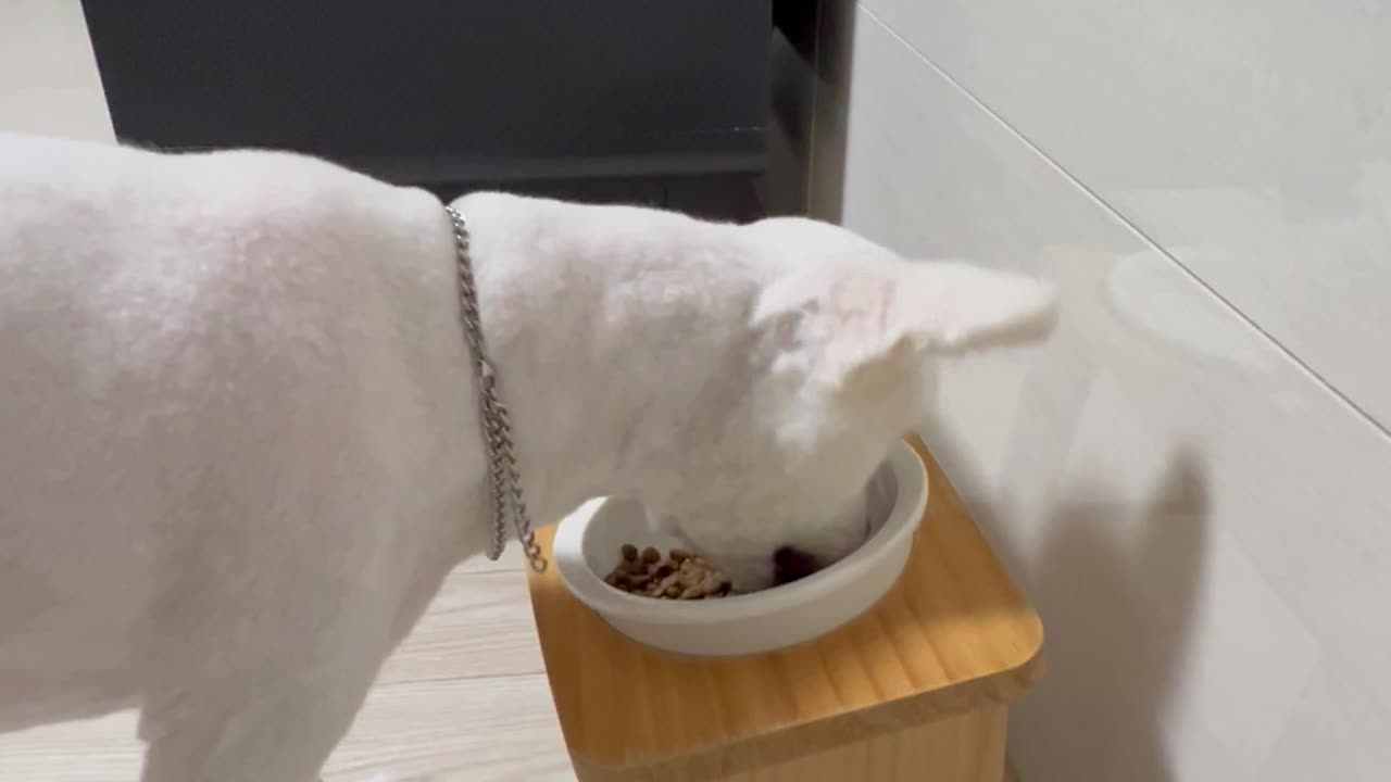1 minute challenge