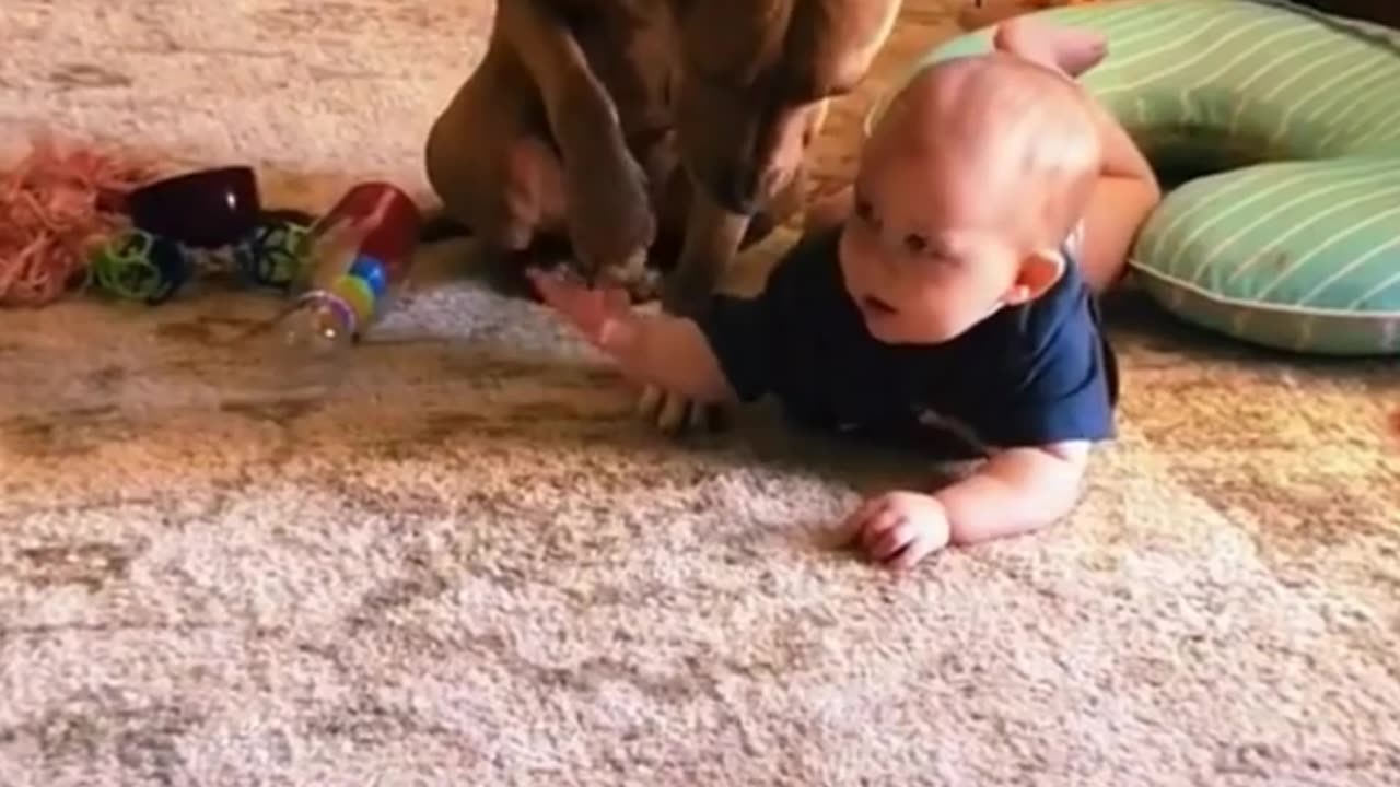 The baby and the dog play together closely