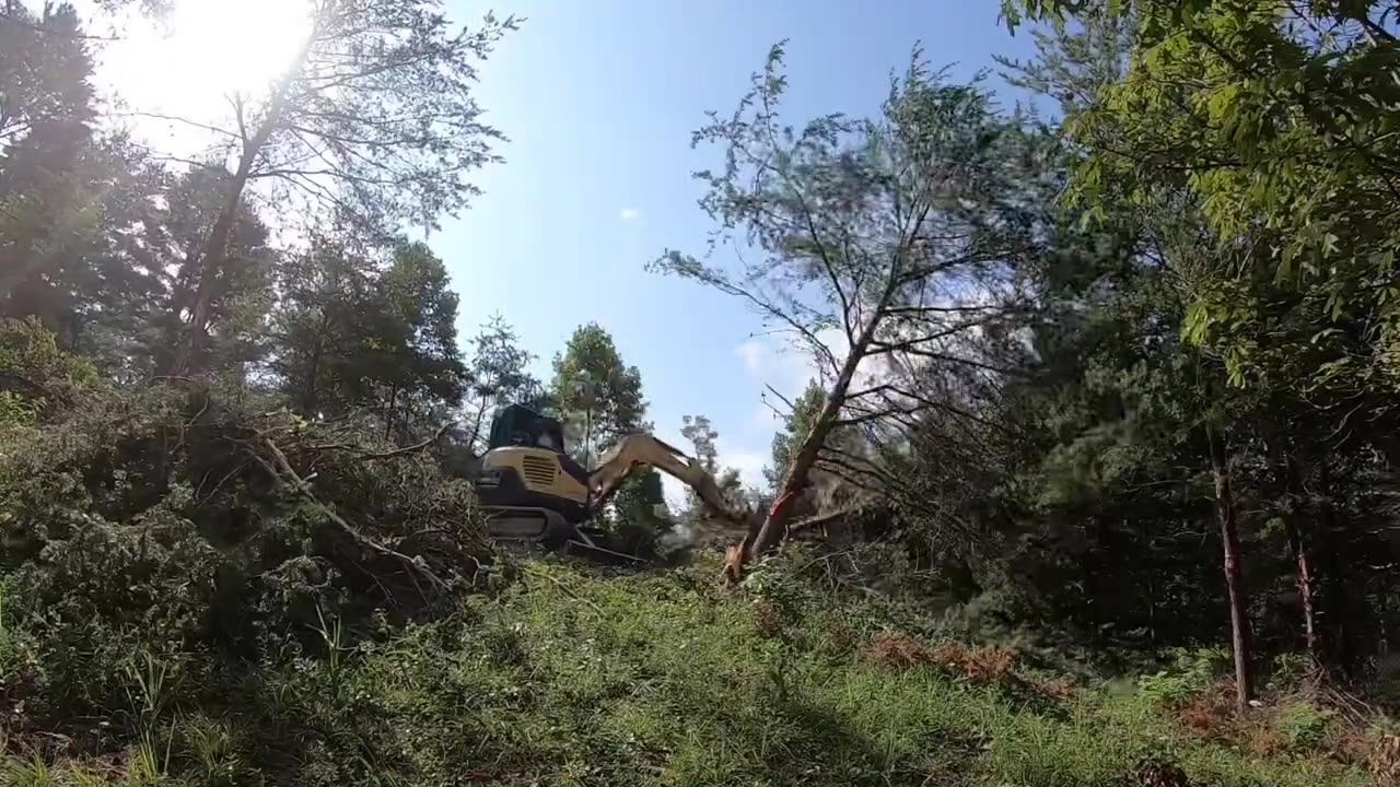 Clearing Land and Burning Huge Brush Pile in Weaverville NC