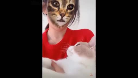 Cat and Dog Reaction to Cat Filter - Funny Cats & Dogs with Cat Filter