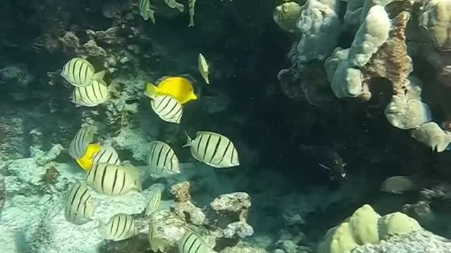 underwater#hideaway