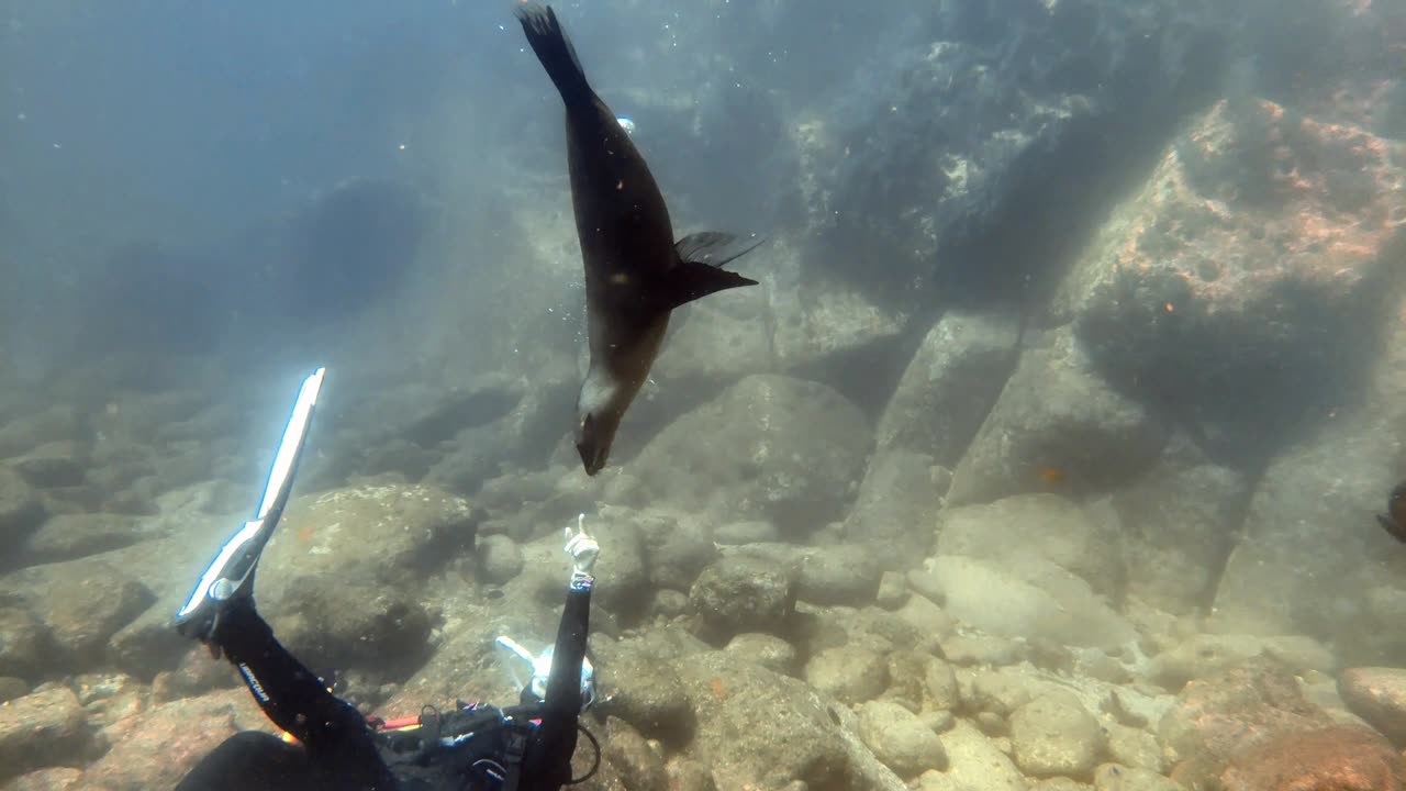 La Paz Mexico Dive Trip - Carey Dive Center