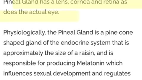 Is the Soul into the Pinnael Gland