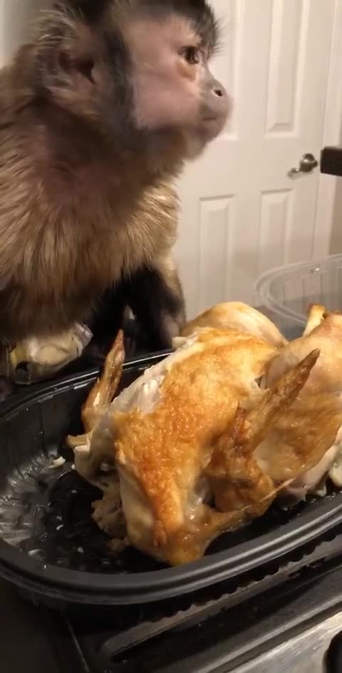 Finders Keeper! This chickens better than my chicken on my dinner platesame don’t worry moms wash