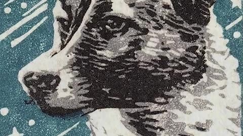 Laika The Space Dog: First Living Creature in Space🐶🚀