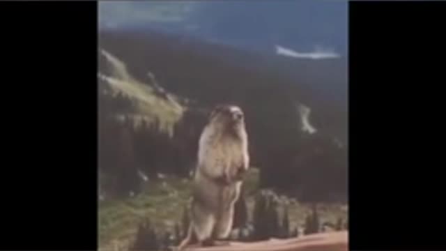 ينادي لاصحابه