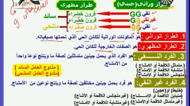 مراجعة الوراثة 2