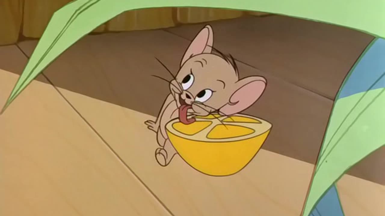 Tom and jerry episode -129