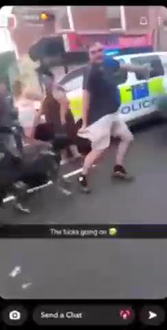 UK ZOG bots using dogs to attack British citizens who are protesting the stabbing and murder