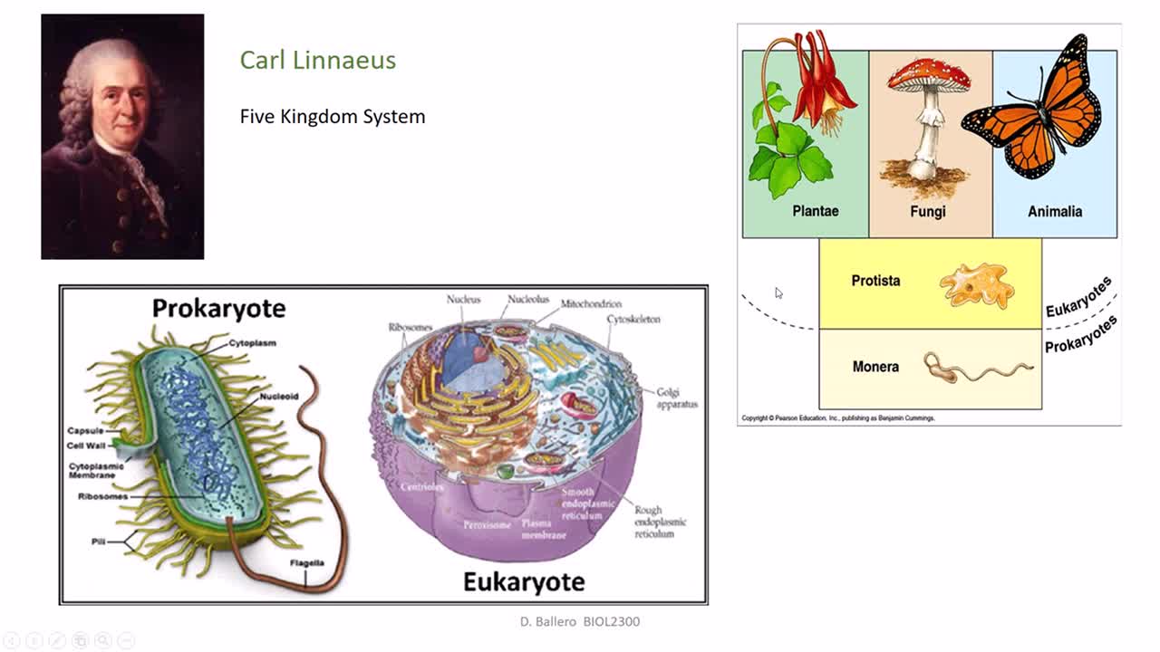 Paleoecology: Taxonomic Nomenclature of Life on Earth