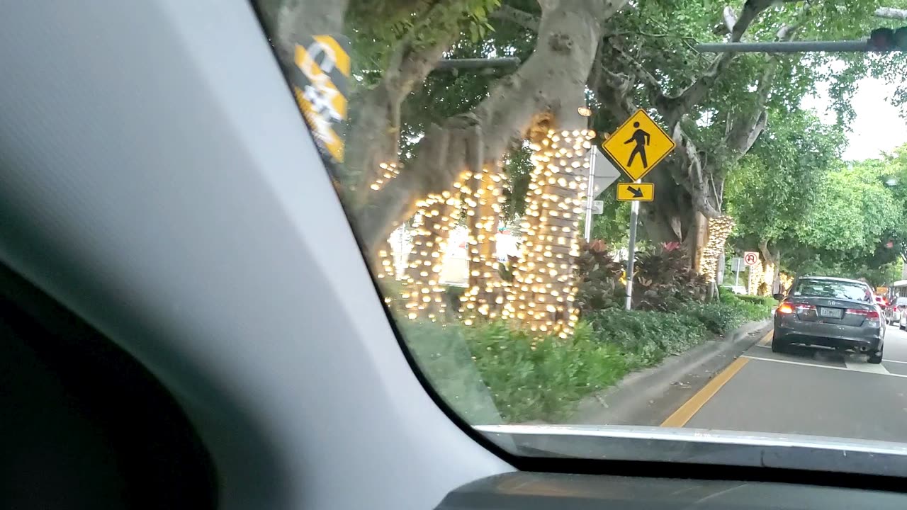 Christmas decorations in Miami, how beautiful