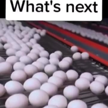 China selling fake eggs now