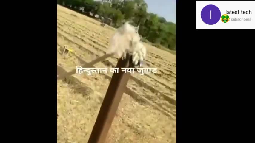 Funny Experiment in India