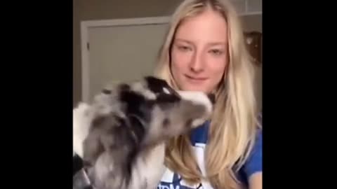 Dog reactions to the kiss 💖💖💖